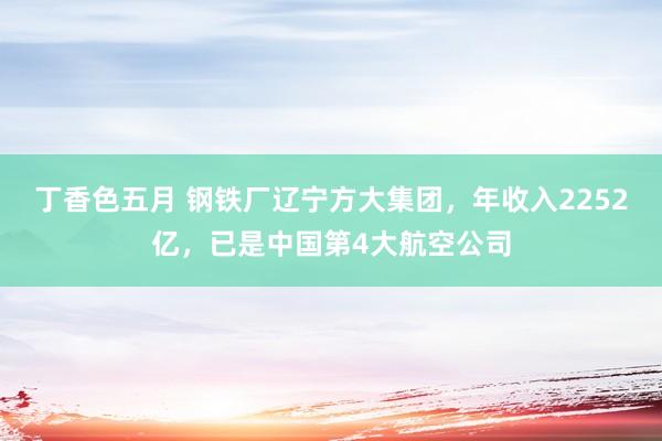 丁香色五月 钢铁厂辽宁方大集团，年收入2252亿，已是中国第4大航空公司