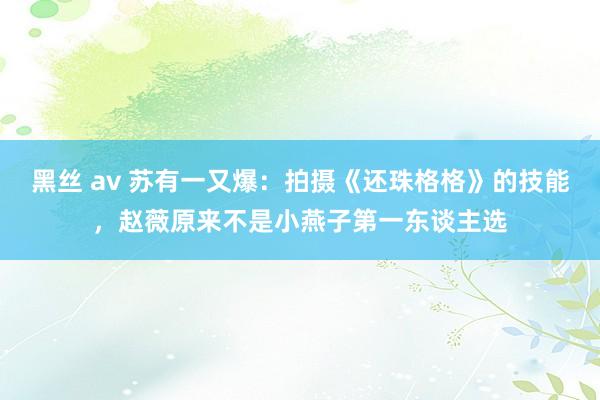 黑丝 av 苏有一又爆：拍摄《还珠格格》的技能，赵薇原来不是小燕子第一东谈主选