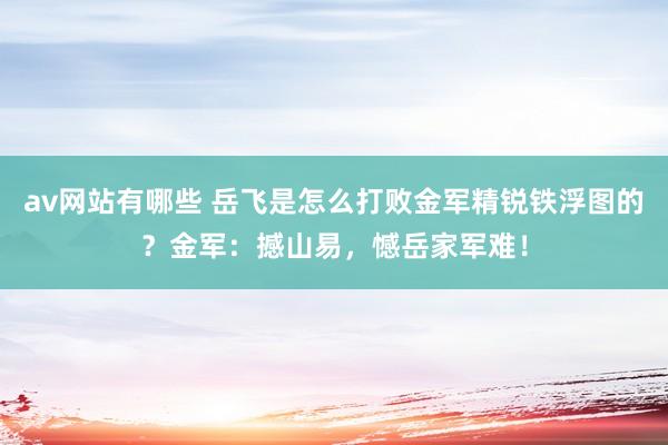 av网站有哪些 岳飞是怎么打败金军精锐铁浮图的？金军：撼山易，憾岳家军难！