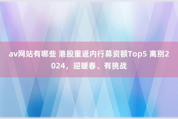 av网站有哪些 港股重返内行募资额Top5 离别2024，迎暖春、有挑战