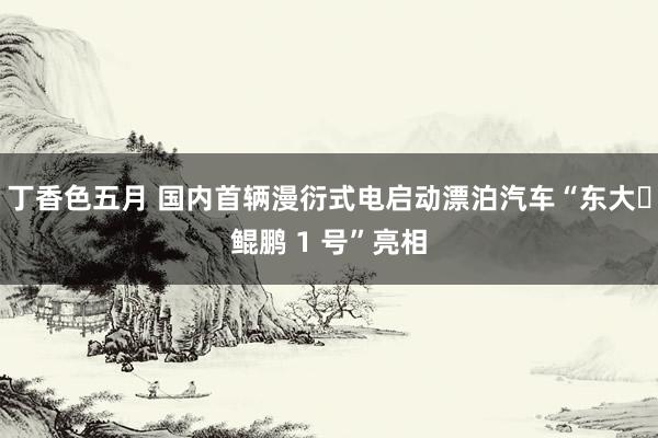 丁香色五月 国内首辆漫衍式电启动漂泊汽车“东大・鲲鹏 1 号”亮相