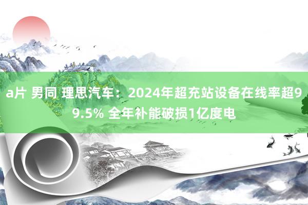 a片 男同 理思汽车：2024年超充站设备在线率超99.5% 全年补能破损1亿度电