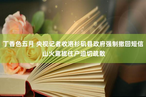 丁香色五月 央视记者收洛杉矶县政府强制撤回短信 山火靠拢住户迫切疏散