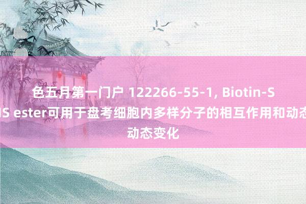 色五月第一门户 122266-55-1， Biotin-SS-NHS ester可用于盘考细胞内多样分子的相互作用和动态变化