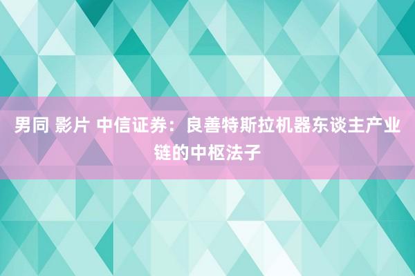 男同 影片 中信证券：良善特斯拉机器东谈主产业链的中枢法子