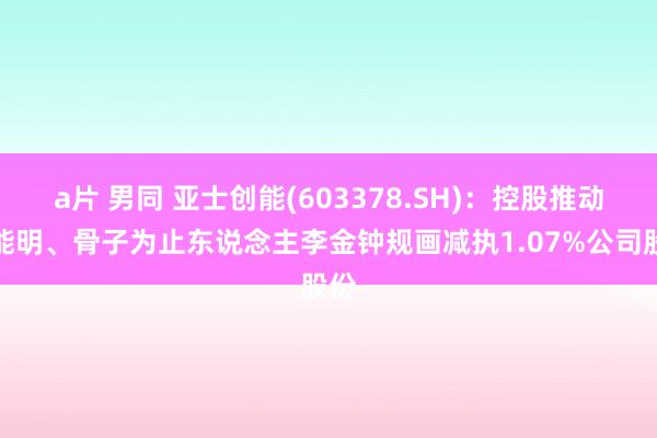 a片 男同 亚士创能(603378.SH)：控股推动创能明、骨子为止东说念主李金钟规画减执1.07%公司股份