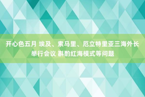 开心色五月 埃及、索马里、厄立特里亚三海外长举行会议 斟酌红海模式等问题