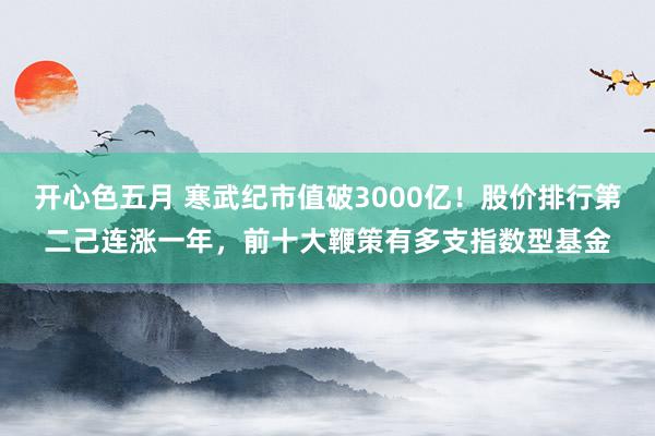 开心色五月 寒武纪市值破3000亿！股价排行第二己连涨一年，前十大鞭策有多支指数型基金