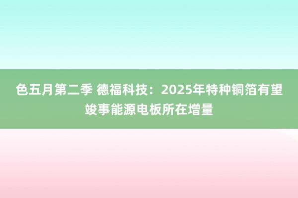 色五月第二季 德福科技：2025年特种铜箔有望竣事能源电板所在增量