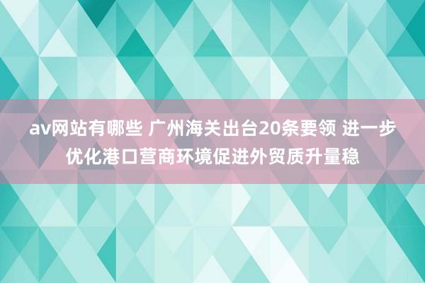 av网站有哪些 广州海关出台20条要领 进一步优化港口营商环境促进外贸质升量稳