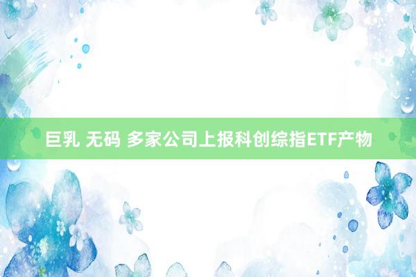 巨乳 无码 多家公司上报科创综指ETF产物