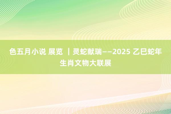 色五月小说 展览 ｜灵蛇献瑞——2025 乙巳蛇年生肖文物大联展