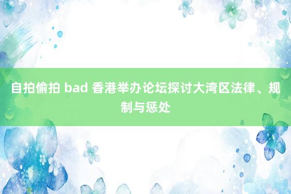 自拍偷拍 bad 香港举办论坛探讨大湾区法律、规制与惩处