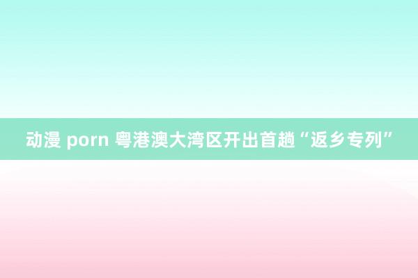 动漫 porn 粤港澳大湾区开出首趟“返乡专列”