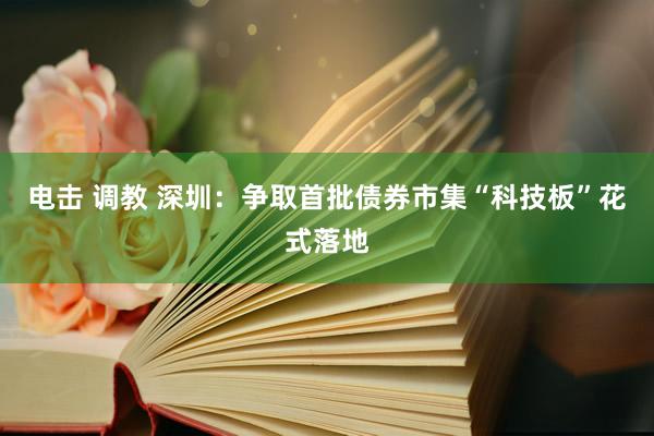 电击 调教 深圳：争取首批债券市集“科技板”花式落地