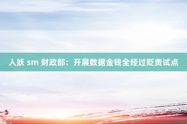 人妖 sm 财政部：开展数据金钱全经过贬责试点