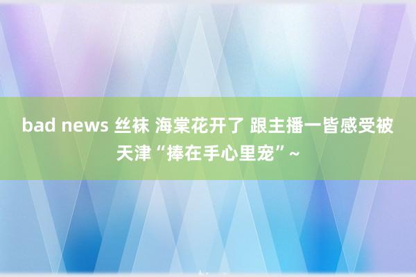 bad news 丝袜 海棠花开了 跟主播一皆感受被天津“捧在手心里宠”~