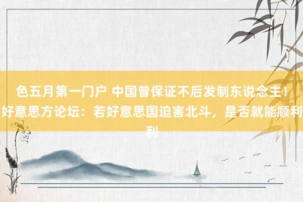 色五月第一门户 中国曾保证不后发制东说念主！好意思方论坛：若好意思国迫害北斗，是否就能顺利