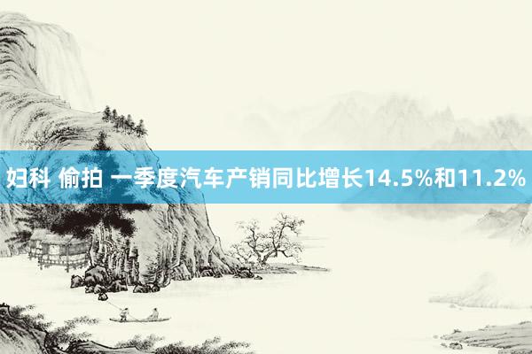 妇科 偷拍 一季度汽车产销同比增长14.5%和11.2%