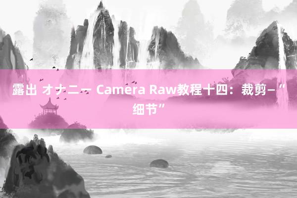 露出 オナニー Camera Raw教程十四：裁剪—“细节”